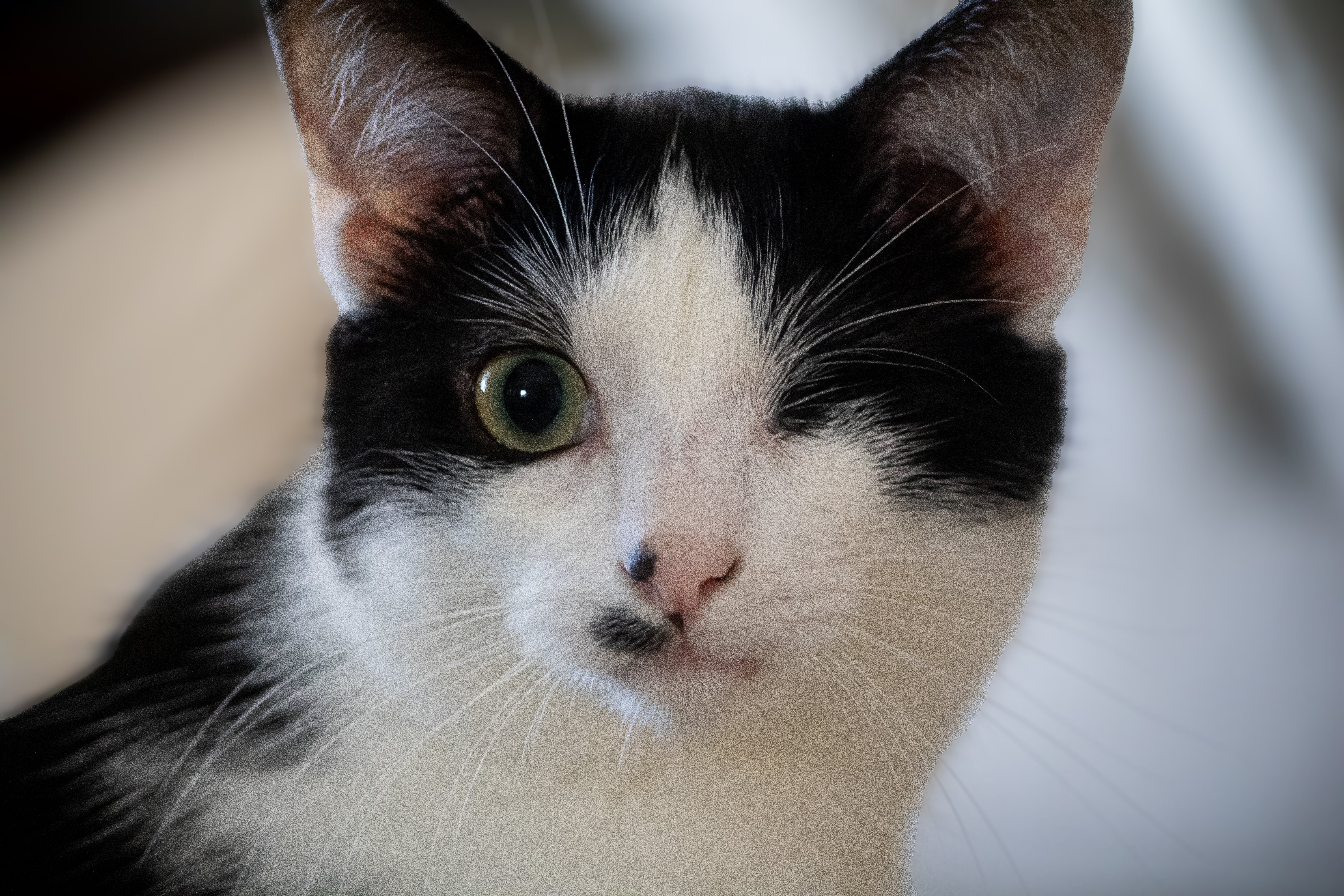 Pico