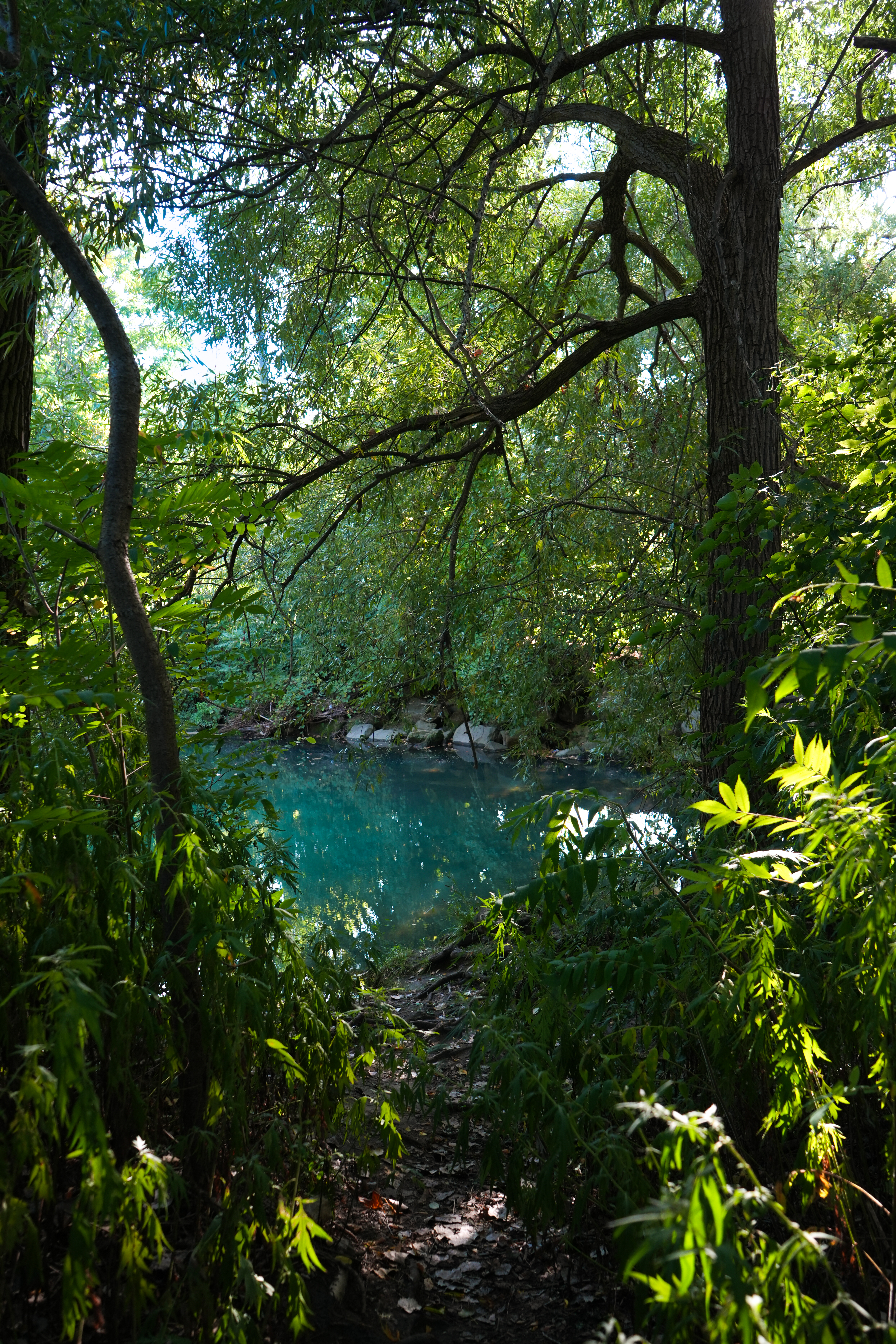 Shallow creek with sunlight reflecting off rippling water in Frontier Park